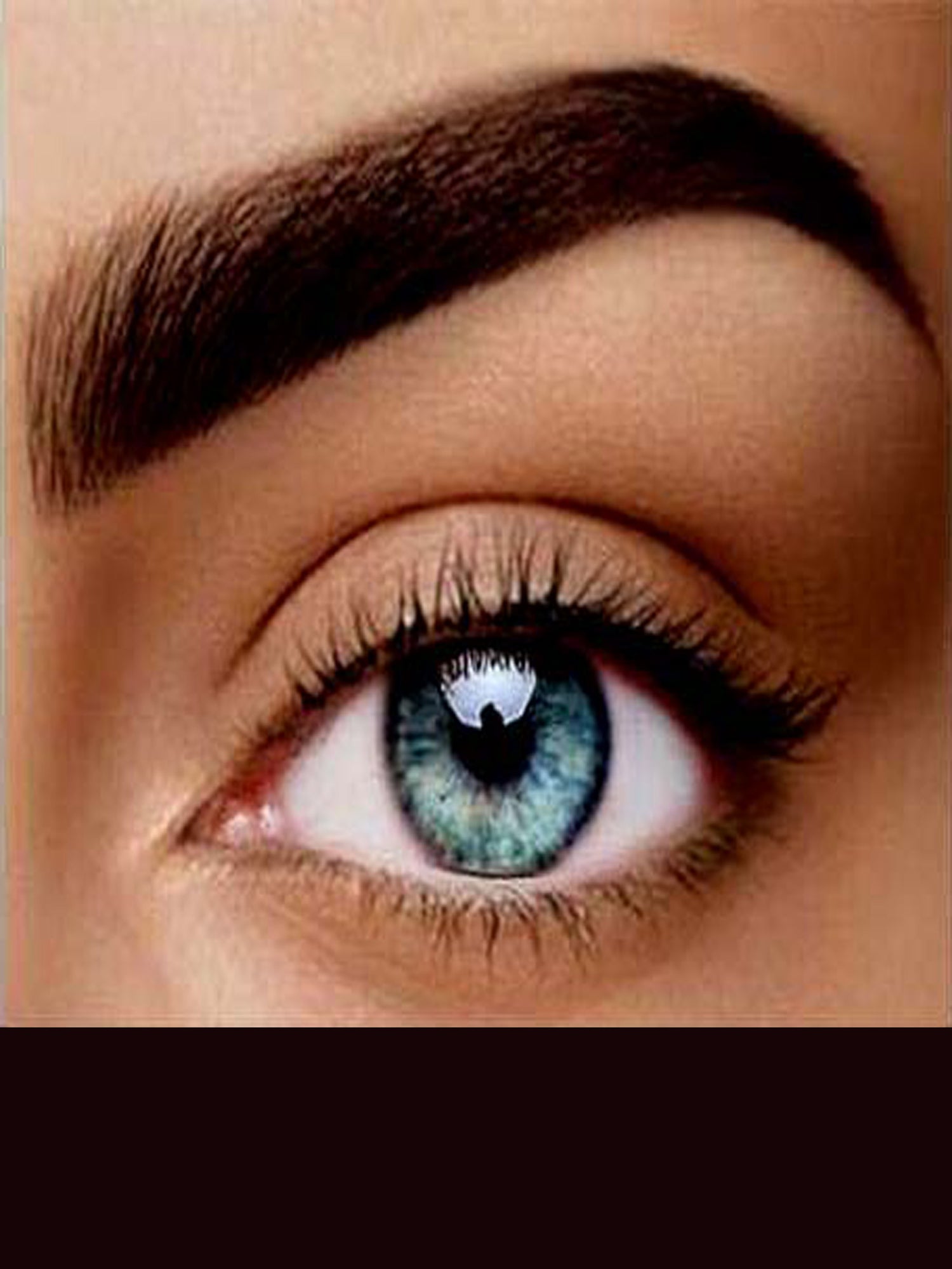 Baume Coloration Sourcils Ulyxa |Édition Limité| - ULYXA